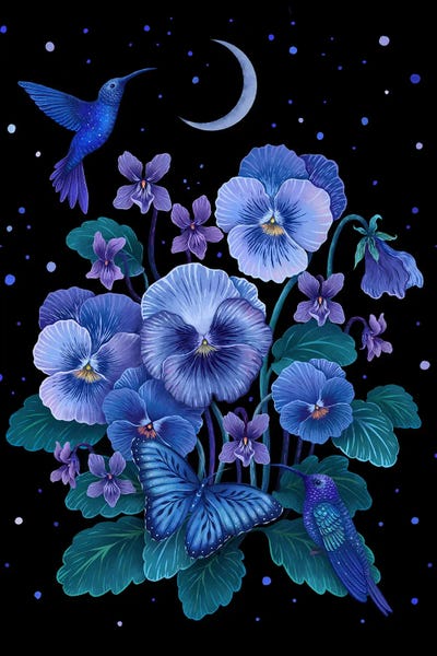 Hummingbirds: Violet February Flower by Episodic Drawing