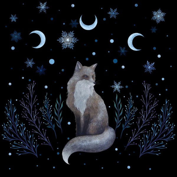 Snow: Winter Fox by Episodic Drawing