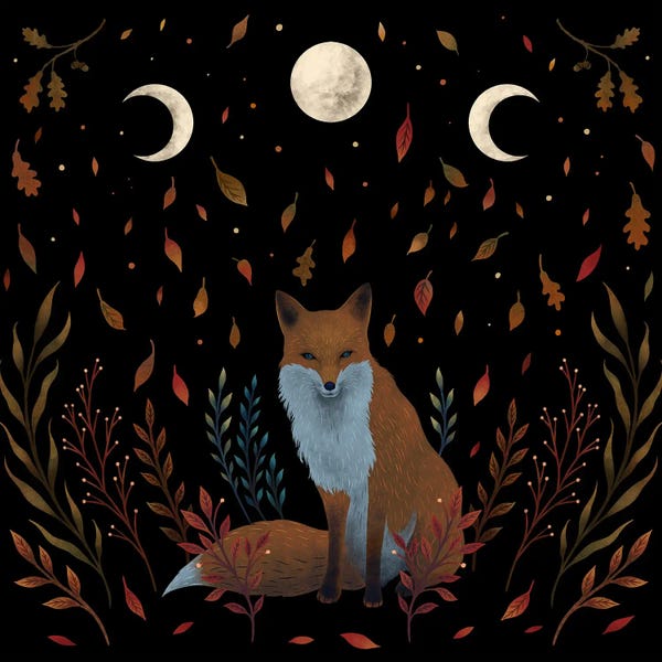 Fine Art Print: Autumn Fox by Episodic Drawing