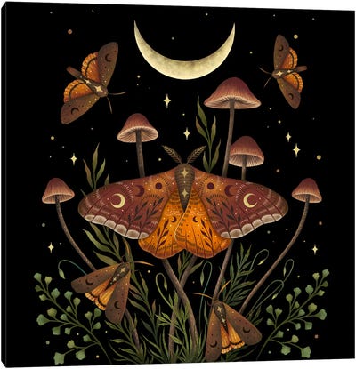 Autumn Light Underwings Canvas Art Print - Moon Art