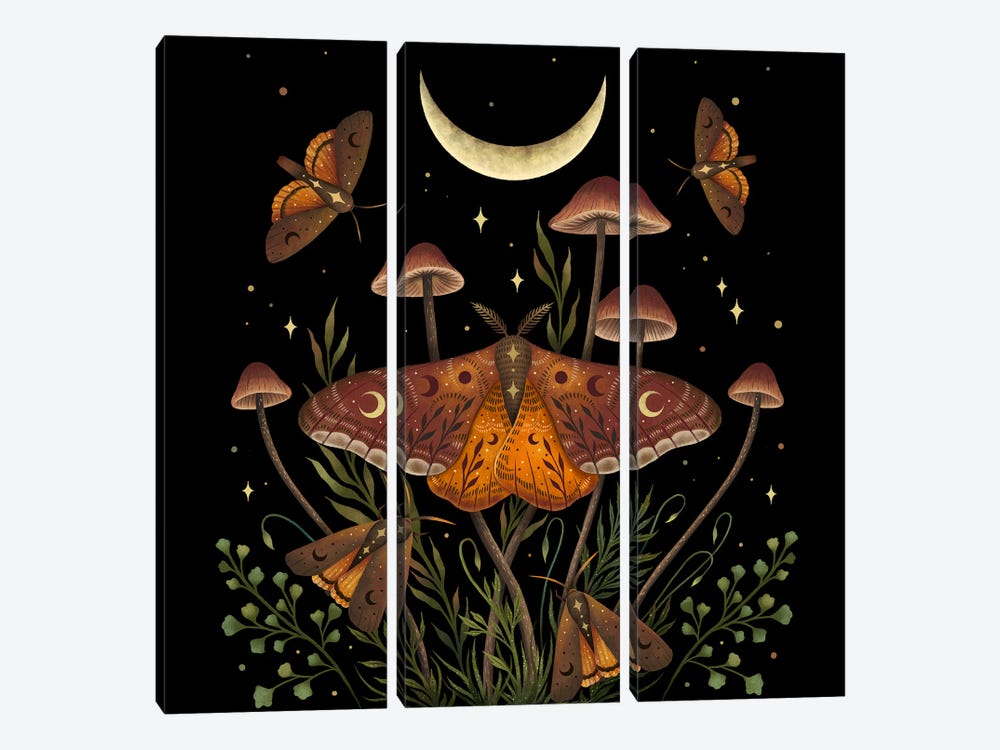 Autumn Light Underwings by Episodic Drawing 3-piece Canvas Artwork