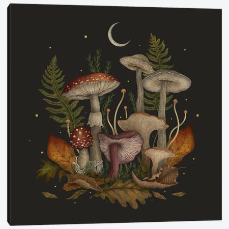 Autumn Mushrooms Canvas Print #EPD26} by Episodic Drawing Canvas Print