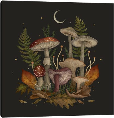 Autumn Mushrooms Canvas Art Print - Mushroom Art
