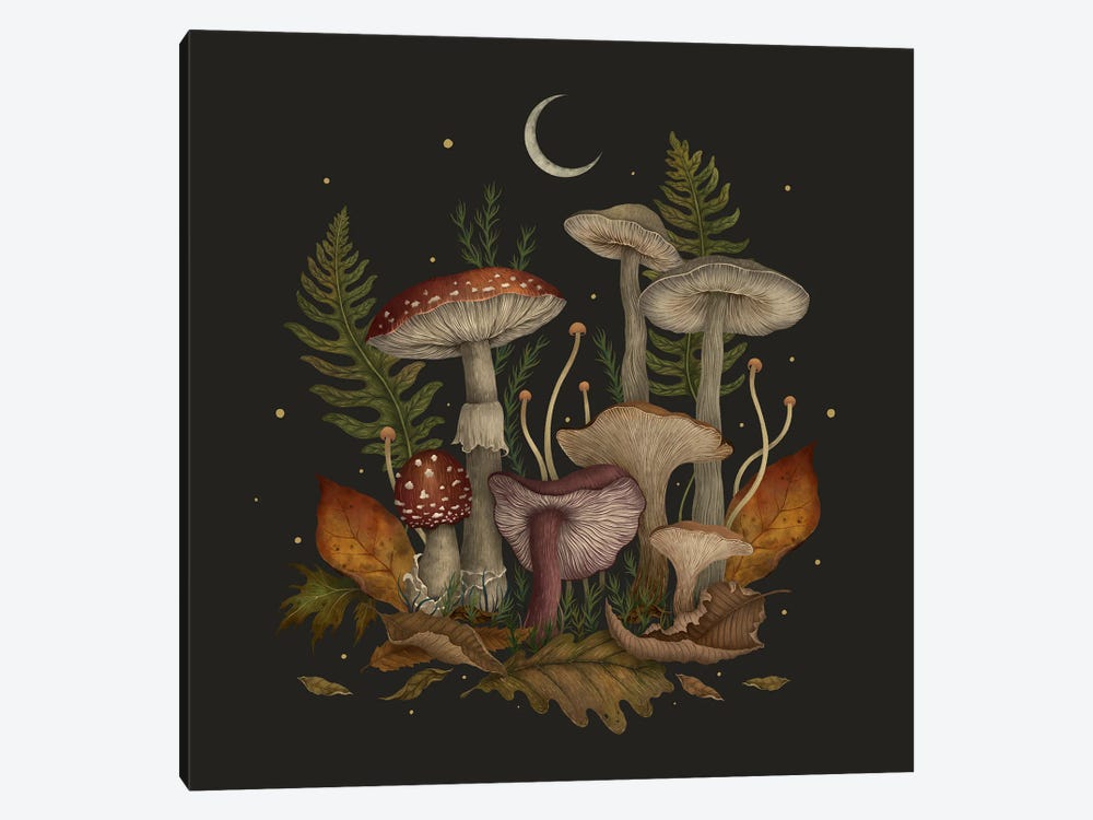 Autumn Mushrooms by Episodic Drawing 1-piece Canvas Print