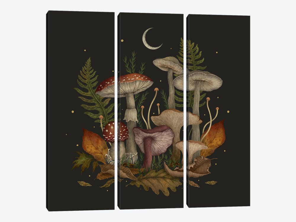 Autumn Mushrooms by Episodic Drawing 3-piece Canvas Print