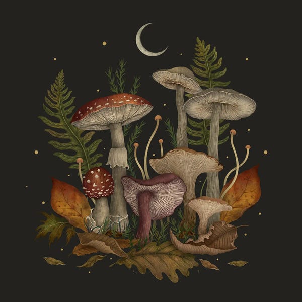 Fine Art Print: Autumn Mushrooms by Episodic Drawing