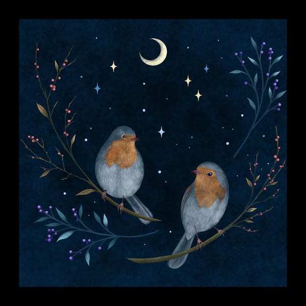 Berries: Birds And Berries by Episodic Drawing