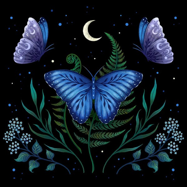 Butterflies: Blue Morpho Butterfly by Episodic Drawing