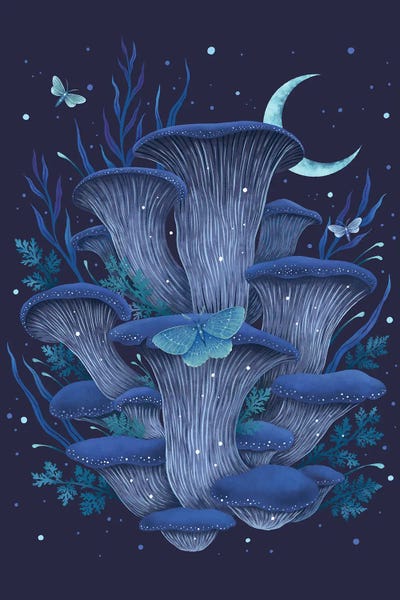 Moths: Blue Oyster by Episodic Drawing