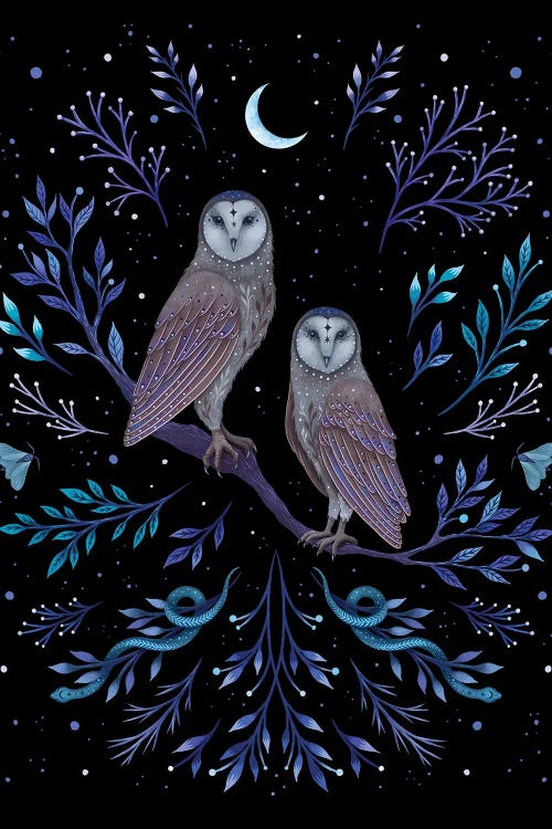 Owls In The Moonlight