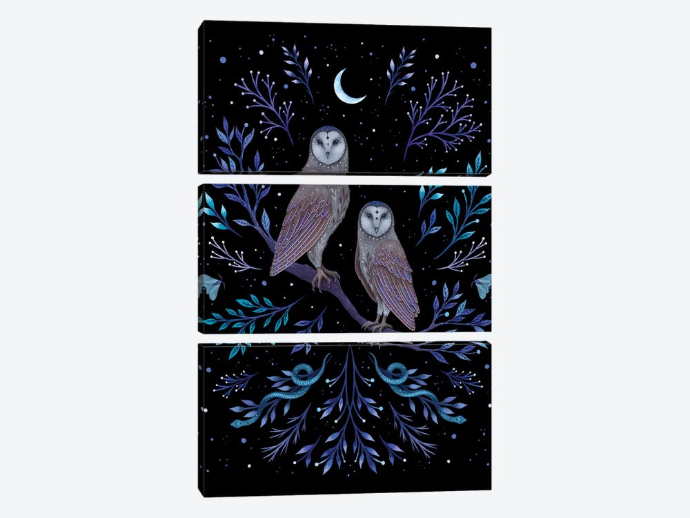 Owls In The Moonlight by Episodic Drawing 3-piece Canvas Art