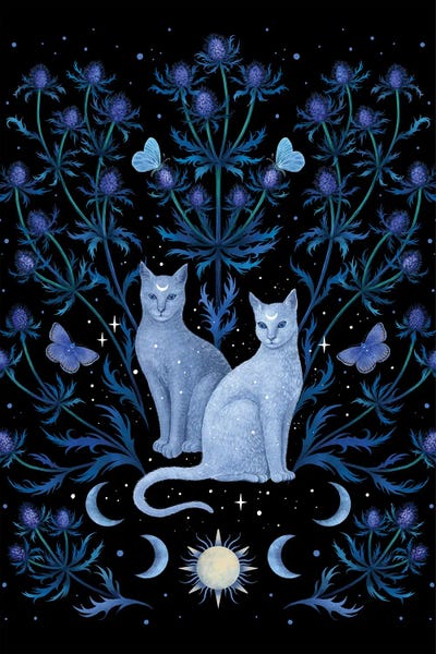 Moths: Blue Thistle And Cat by Episodic Drawing