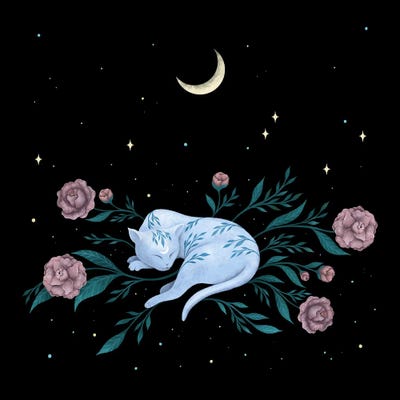 Cat Dreaming Of The Moon by Episodic Drawing art print