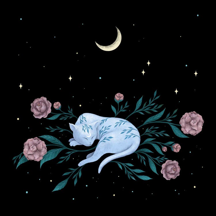 Cat Dreaming Of The Moon