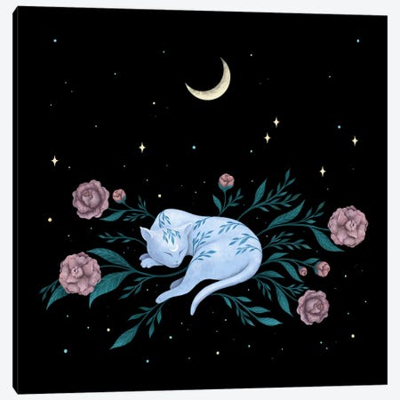 Cat Dreaming Of The Moon Canvas Print #EPD34} by Episodic Drawing Canvas Artwork