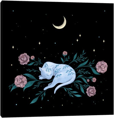 Cat Dreaming Of The Moon Canvas Art Print - Episodic Drawing