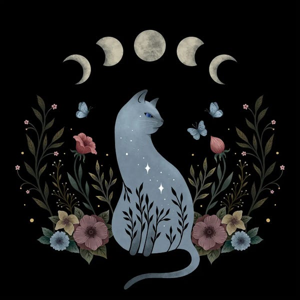 Moths: Cat On The Hill by Episodic Drawing