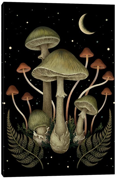 Death Cap Canvas Art Print - Mushroom Art