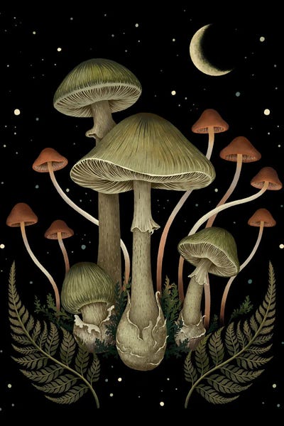 Edgy Bedroom: Death Cap by Episodic Drawing