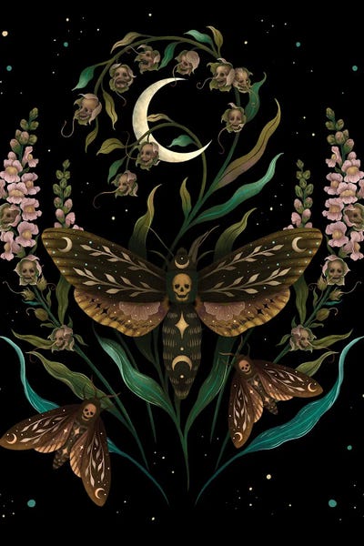 Natural Meets Mythical: Death's Head by Episodic Drawing