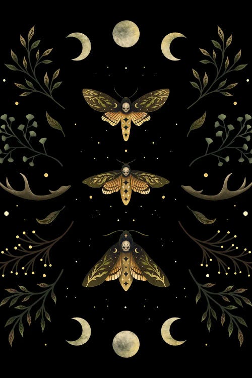 Death's Head Moth Night