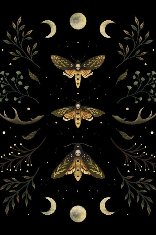 Death's Head Moth Night
