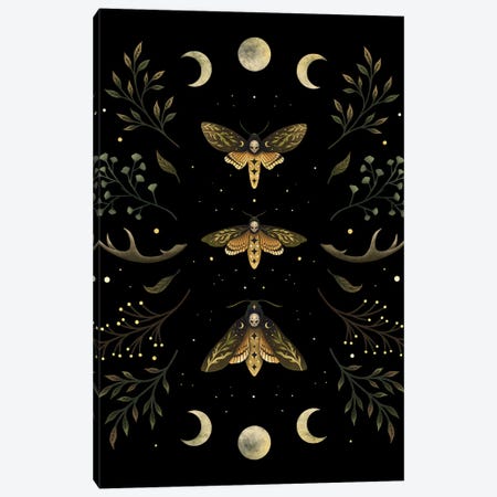 Death's Head Moth Night Canvas Print #EPD39} by Episodic Drawing Canvas Print