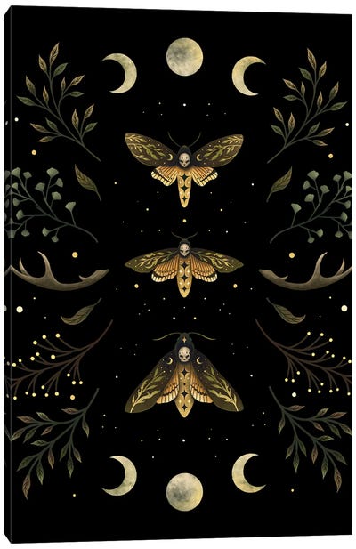 Death's Head Moth Night Canvas Art Print - Antler Art