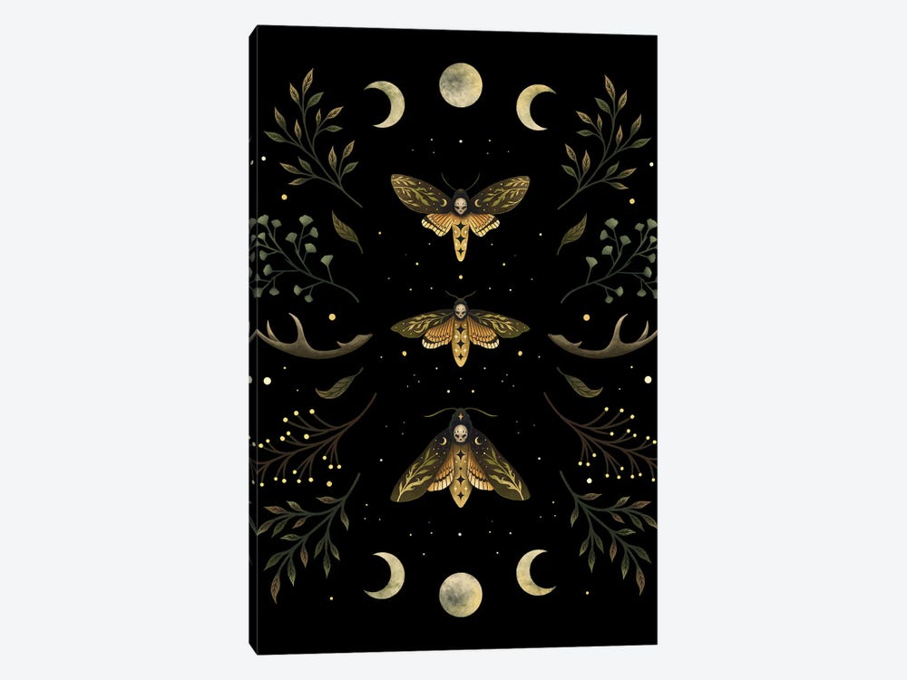 Death's Head Moth Night by Episodic Drawing 1-piece Art Print