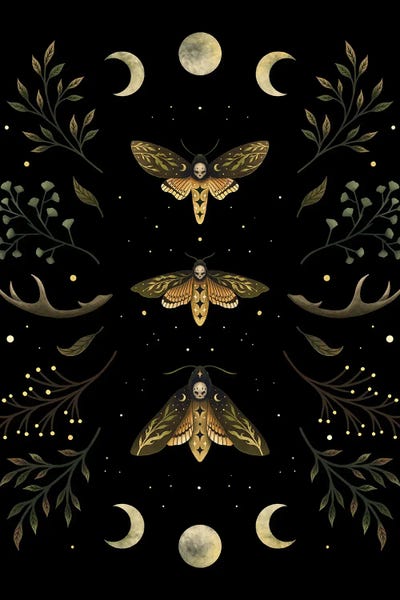 Antlers: Death's Head Moth Night by Episodic Drawing