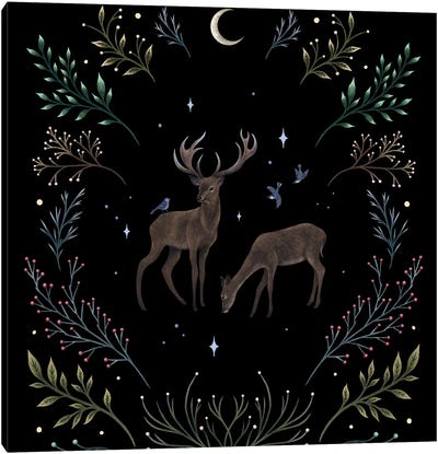 Deers In The Moonlight Canvas Art Print - Episodic Drawing