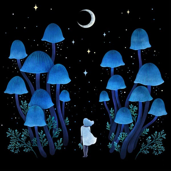 Fine Art Print: Fungi Forest by Episodic Drawing
