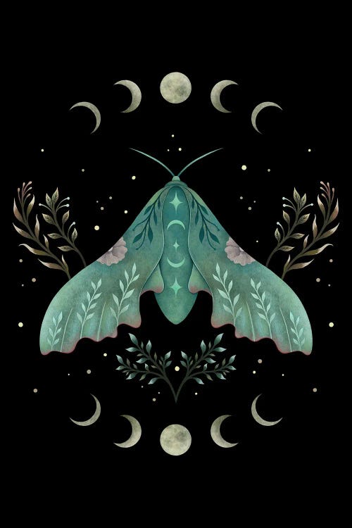 Luna And Moth