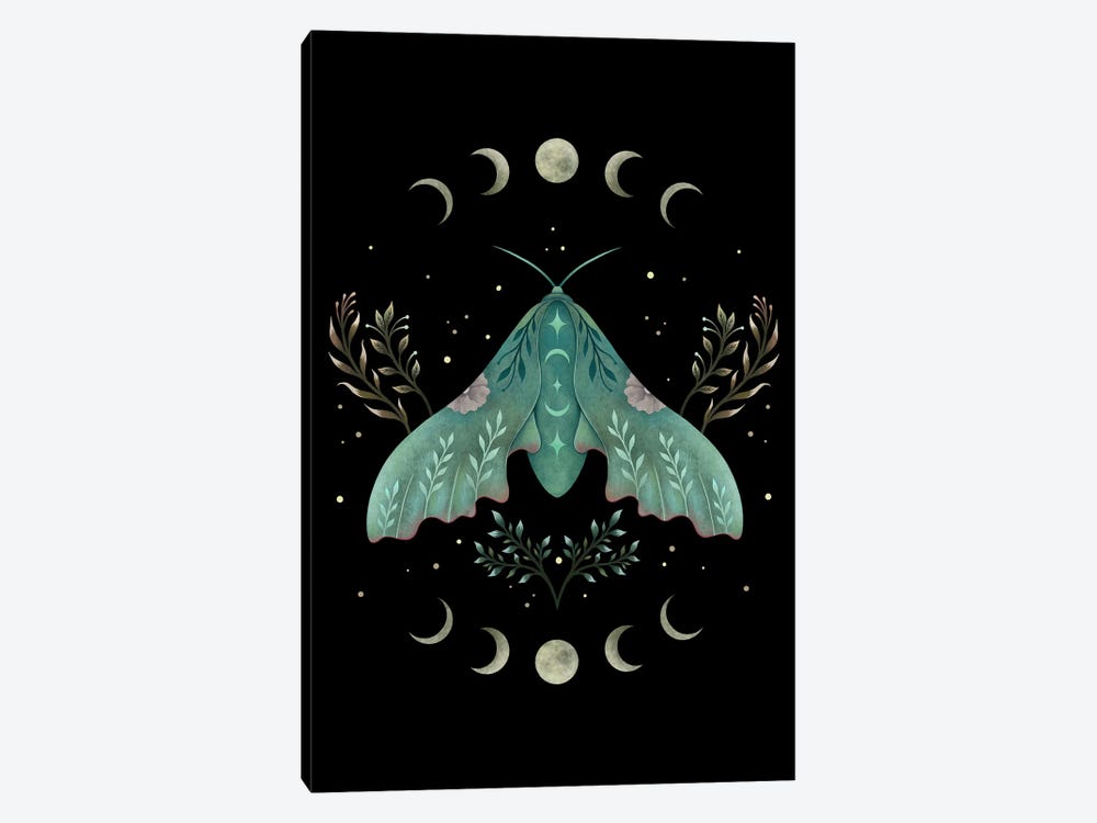 Luna And Moth by Episodic Drawing 1-piece Canvas Art