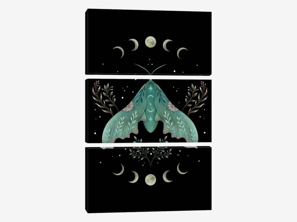 Luna And Moth by Episodic Drawing 3-piece Canvas Wall Art