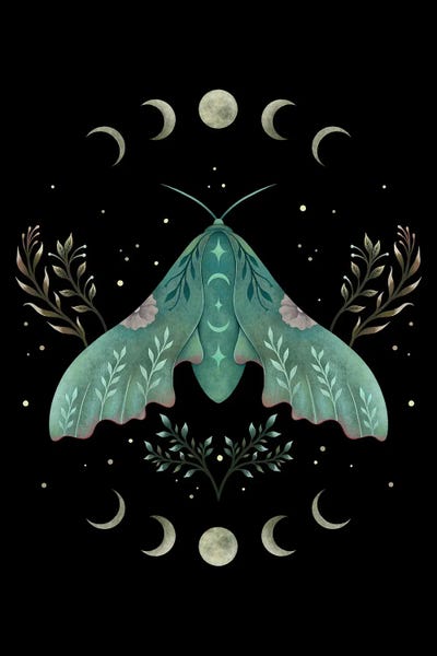 Moths: Luna And Moth by Episodic Drawing