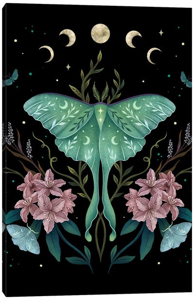 Luna And Rhododendron Canvas Art Print - Alternative Décor