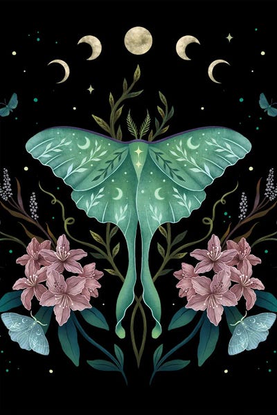 Edgy Bedroom: Luna And Rhododendron by Episodic Drawing