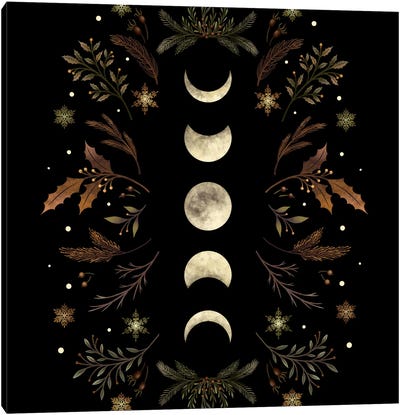 Moonlight Garden Winter Brown Canvas Art Print - Full Moon Art