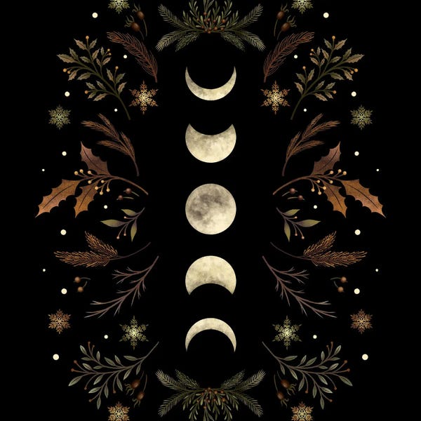 Moonlight Garden Winter Brown