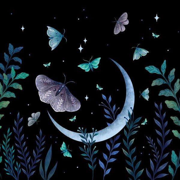Fine Art Print: Moth Garden by Episodic Drawing