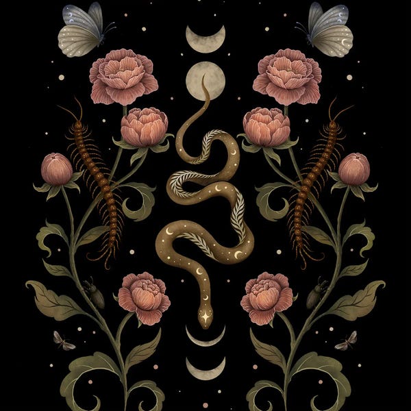 Moths: Serpentine Garden by Episodic Drawing