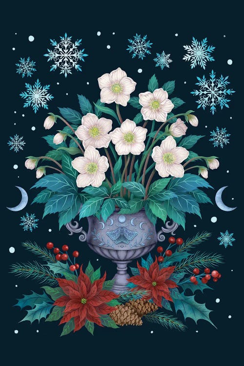 Christmas Rose