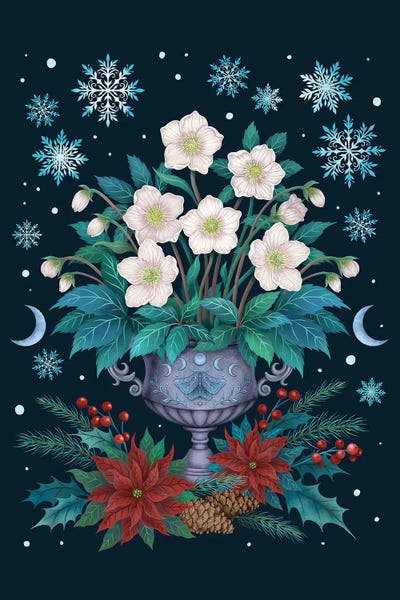Episodic Drawing: Christmas Rose by Episodic Drawing