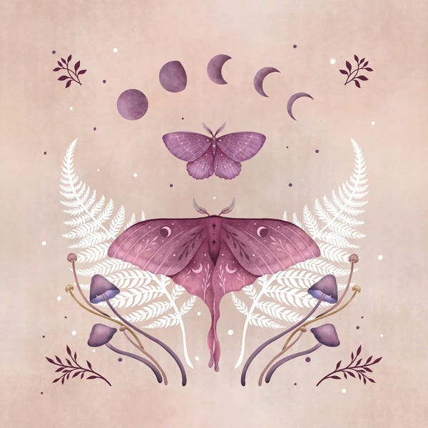 Alternative Décor: Luna And Emerald Vintage Pink by Episodic Drawing