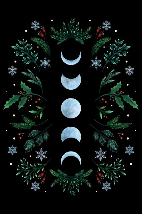 Moonlight Garden Festive by Episodic Drawing wall art
