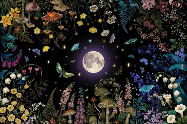 Night Garden by Episodic Drawing wall art