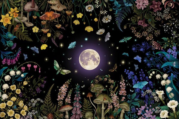 Moths: Night Garden by Episodic Drawing