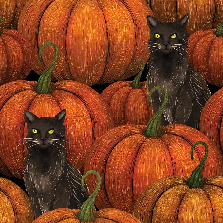 Pumpkins And Black Cat by Episodic Drawing wall art