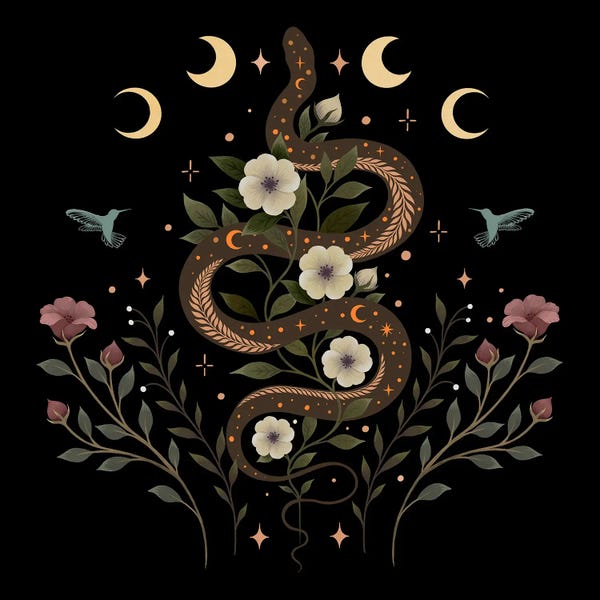 Snakes: Serpent Spell by Episodic Drawing